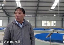 44分钟！央视《新闻调查》探寻宜宾绿色转型之路